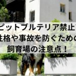 ピットブルテリア禁止?性格や事故を防ぐための飼育場の注意点！