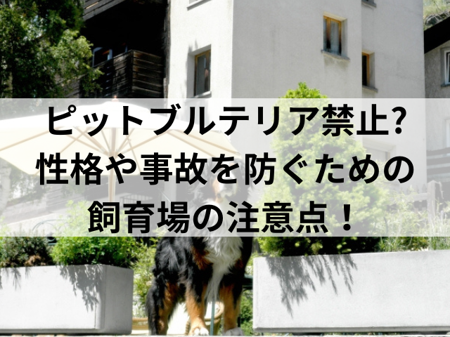 ピットブルテリア禁止?性格や事故を防ぐための飼育場の注意点！